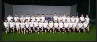 Image result for University Of Limerick Gaa Hurling Club