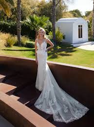 Image result for cosmobella