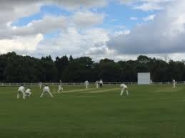 Image result for Hook Norton Junior Cricket Club