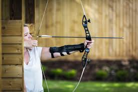 Image result for Castle Field Archers
