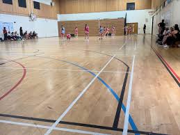 Image result for Halton Netball Club
