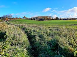 Image result for Bures and District Cricket Club