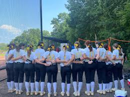 Image result for Cheetahs Softball Team