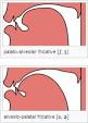 Postalveolar consonant