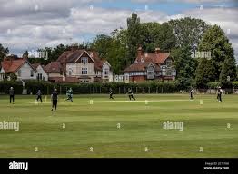 Image result for Henley Cricket Club