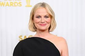 Image result for Bugaboo Cameleon Amy Poehler