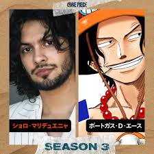 「ポートガス・Ｄ・エース ONE PIECE」の画像検索結果