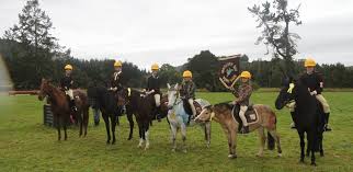 Image result for Thames Valley Riding Club