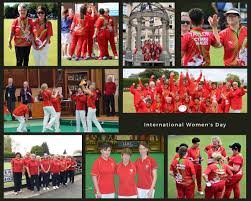 Image result for Trelewis Welfare Bowls Club