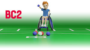 Image result for Well Being and Leisure Team (Boccia)