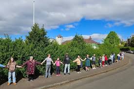 Image result for Marchmount Bowling Club