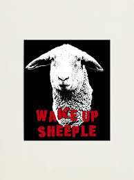 Image result for sheeple