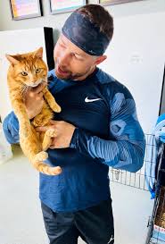 Image result for cat man