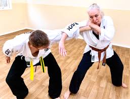 Image result for Moo Sool Academy