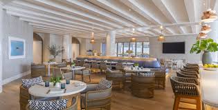 Image result for Caretta caretta