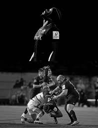 Image result for Old Albanian Rugby Football Club