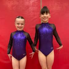 Image result for Loughton Gymnastics Club