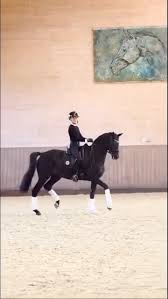 Image result for Interfreestyle Sport Karate