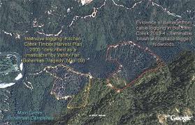 Image result for bohemian grove