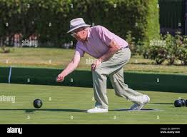Image result for Pudsey Britannia Bowling Club