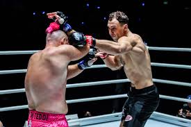 Image result for American Kick Boxing Club