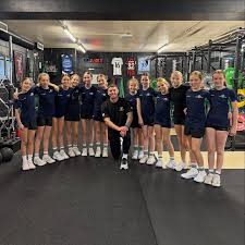 Image result for Poole Netball Club