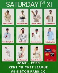 Image result for Sibton Park Cricket Club