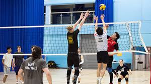 Image result for Uwe Cricket Club