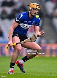 Image result for Patrick Sarsfield Gaelic Athletic Club