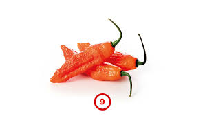 Afbeeldingsresultaat voor naga jolokia hot pepper