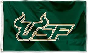 Image result for Kirkcaldy Bulls Flag football Club