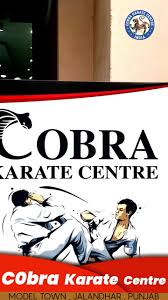 Image result for Cobra Karate Club