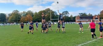Image result for Old Reigatian Rfc Junior & Mini