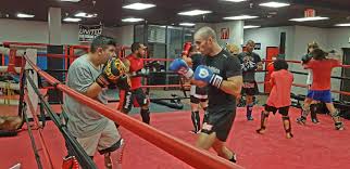 Image result for Cork Thai Boxing Club