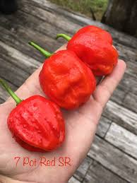 Afbeeldingsresultaat voor 7 pot hot pepper