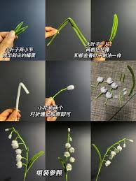 「扭蘭」的圖片搜尋結果