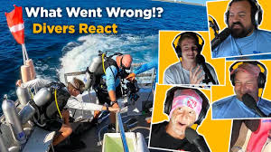 Image result for TAL Divers