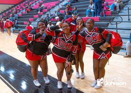 Image result for RT Twilights Cheerleading