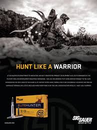 Image result for Matt Cutts sauer