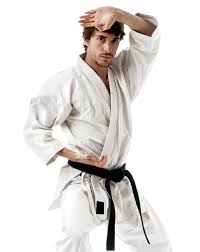 Image result for Springwood Karate