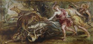 Attēlu rezultāti vaicājumam “Lopheros rubens”