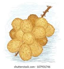 Image result for Lansongammon