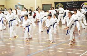 Image result for Breakthrough Tae Kwon Do