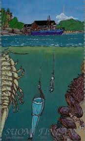 Attēlu rezultāti vaicājumam “Saduria entomon”