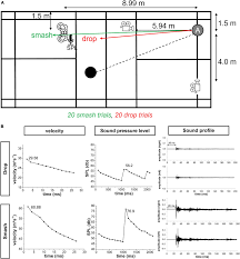 Image result for M & Ms Badminton Club