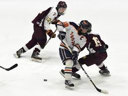 Image result for Wallingford Hockey Club