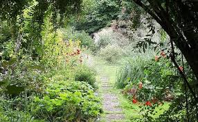 Image result for Mien Ruys