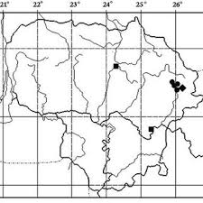 Attēlu rezultāti vaicājumam “Physarum rubiginosum sessile”