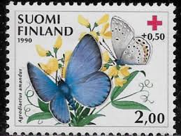 Attēlu rezultāti vaicājumam “Agrodiaetus amandus male”