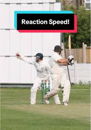 Image result for Tintwistle Cricket Club